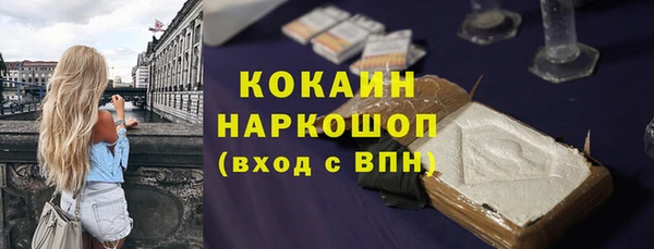 хмурый Верея