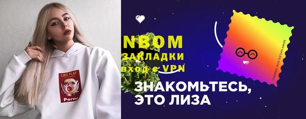 хмурый Верея