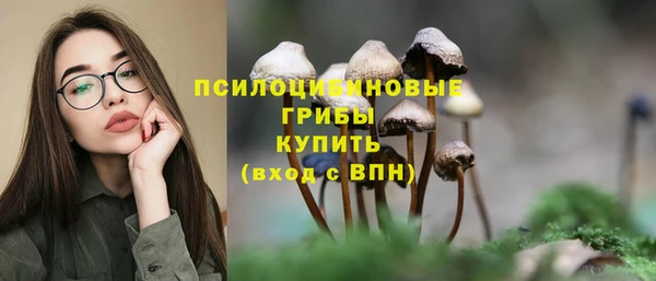 ГАЛЛЮЦИНОГЕННЫЕ ГРИБЫ Верхнеуральск