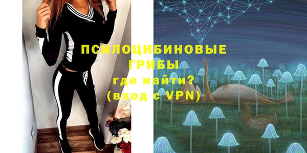 ГАЛЛЮЦИНОГЕННЫЕ ГРИБЫ Верхнеуральск