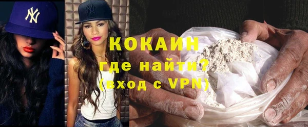 хмурый Верея