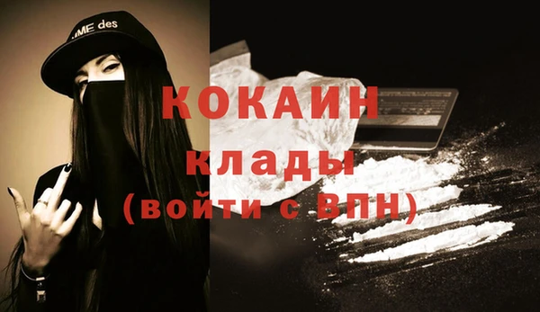 хмурый Верея